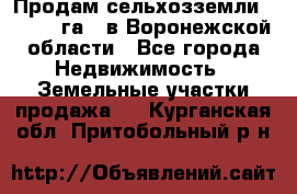 Продам сельхозземли ( 6 000 га ) в Воронежской области - Все города Недвижимость » Земельные участки продажа   . Курганская обл.,Притобольный р-н